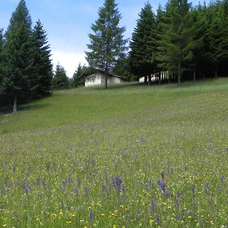 Hotel Isolabella Wellness Fiera Di Primiero Eksteriør billede