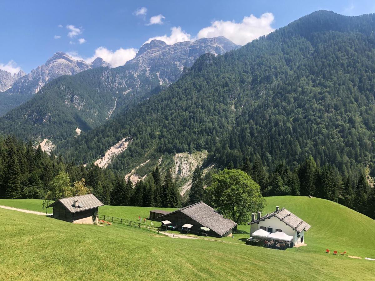 Hotel Isolabella Wellness Fiera Di Primiero Eksteriør billede
